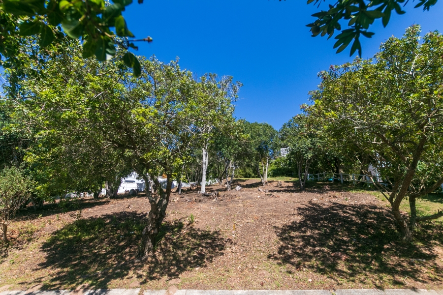 0 Bedroom Property for Sale in Belvidere Estate Western Cape